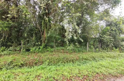 Terreno à venda no Palmeiras II, Itanhaém 