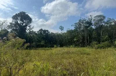 Terreno à venda no Palmeiras II, Itanhaém 