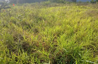 Terreno à venda no Cibratel II, Itanhaém 