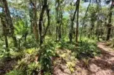 Terreno de chácara com 1.004m² no balneário gaivota em itanhaém – escritura e pagamento facilitado