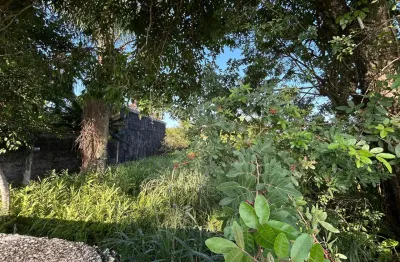 Terreno com 280m² no bairro gaivota em itanhaém – lado praia a 200m do mar, rua calçada e aceita financiamento