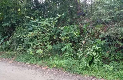 Terreno à venda na Av. Padre Anchieta, 6840, Balneário Gaivota, Itanhaém