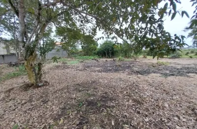 Terreno localizado lado serra a 250 metros da rodovia em rua asfaltada