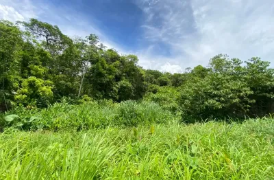 Terreno localizado lado serra a 150 metros da rodovia com total de 287,70 m²