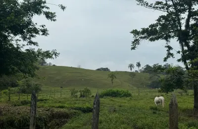 Chácara localizada lado serra 12000 metros da rodovia com 240mil metros quadrados