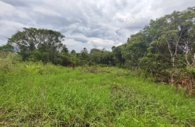 Terreno localizado em Itanhaém, lado serra à 200m da rodovia, rua de terra, 312m² de área total, escritura