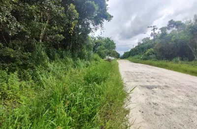 Terreno de chácara localizado em Itanhaém, lado serra à 2km da rodovia, rua de terra, 5.070,00m² de área total, escritura