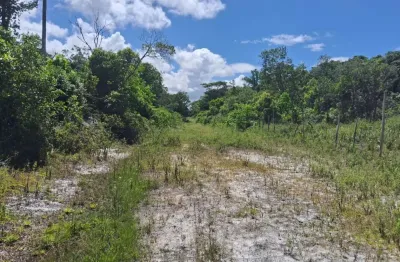 Terreno localizado lado serra no bairro Jardim Anchieta em Itanhaém a 3 km da rodovia, em rua de terra, com 125m² e escritura definitiva