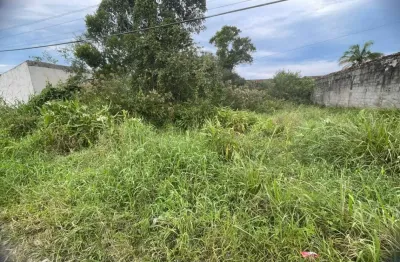 Terreno localizado lado serra no Luizamar Mirim, Itanhaém, a 600 m da rodovia – Escritura