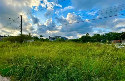 Terreno localizado lado serra a 600 metros da serra - Escritura