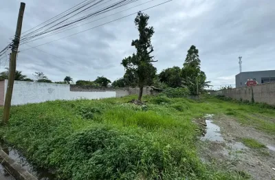 Terreno localizado lado serra a 1000 metros da rodovia em rua calçada - Escritura