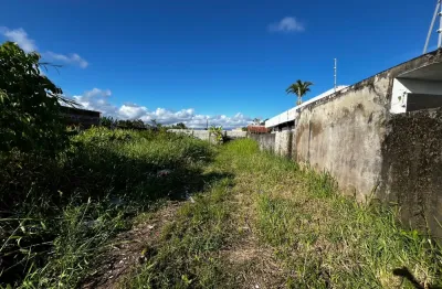 Terreno localizado lado praia a 900 metros do mar, possui licença ambiental - Escritura