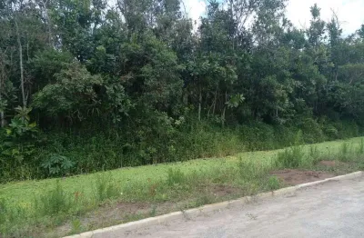 Terreno à venda com 420m² de área total, no bairro jardim coronel