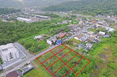 Terreno à venda, 3720 m² por r$ 1.500.000,00 - sertãzinho - matinhos/pr