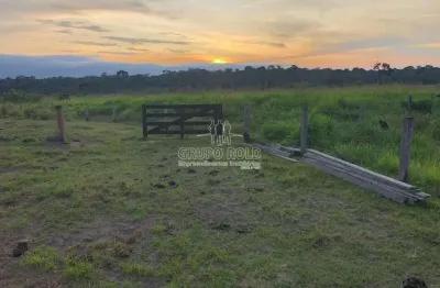Fazenda à venda na Zona Rural, Nova Monte Verde 