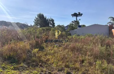 Terreno à venda no São Luiz, Caxias do Sul 