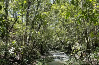 Chácara 5.000m2, com casa, córrego, galinheiro,canil, toda cercada com tela! pirenópolis-goiás