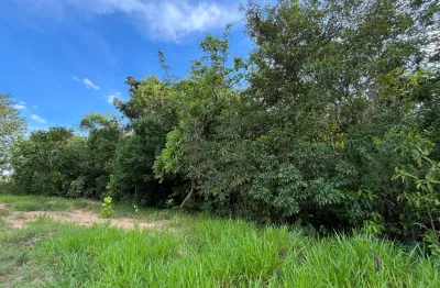 Área 20.000m2, córrego cristalino, próximo pirenópolis e asfalto