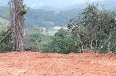 Chácara / sítio à venda no Centro, Antônio Carlos 