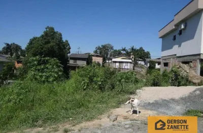 Terreno à venda na Rua Ferdinando Martignago, Santo Antônio, Criciúma