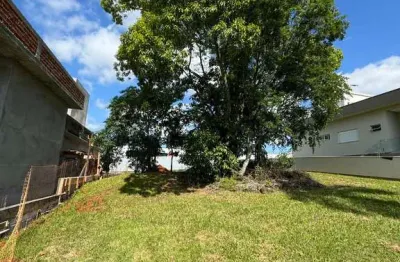 Terreno à venda na Rodovia Alexandre Beloli, Primeira Linha, Criciúma
