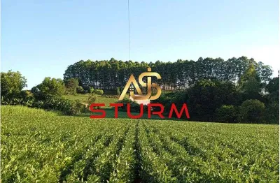 Chácara / sítio à venda na Rua Desidério Telo, 00, Centro, São Miguel do Oeste