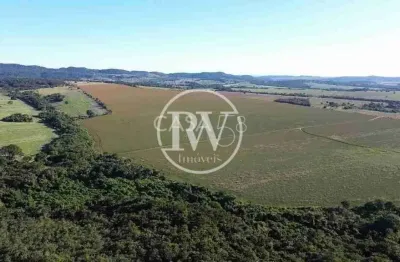 Fazenda à venda em piracanjuba-go com 50 alqu. para lavoura, alta produtividade
