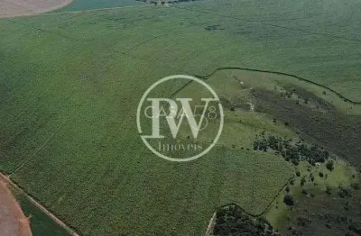 Fazenda 158 alqueires, agricultura de soja, próximo à arantina,12 km do asfalto