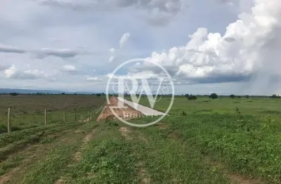 Fazenda à venda – 2.400 alqueires – próximo a flores de goiás