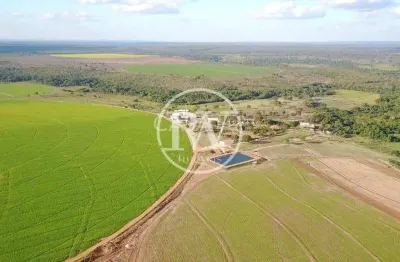 Fazenda à venda próxima a formosa-go – quase 250 alqueires, rica em água