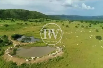 Fazenda de alto padrão à venda – 1.826 alqueires – alvorada do norte/go