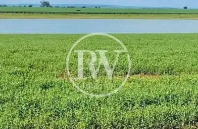 Fazenda de alto padrão à venda – 150 alqueires – gouvelândia/go