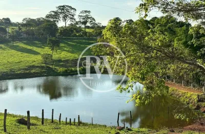 Fazenda à venda em trindade – go | 40 alqueires com excelente infraestrutura