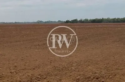 Fazenda à venda em goiás – 201 alqueires, cana-de-açúcar, topografia plana etc.