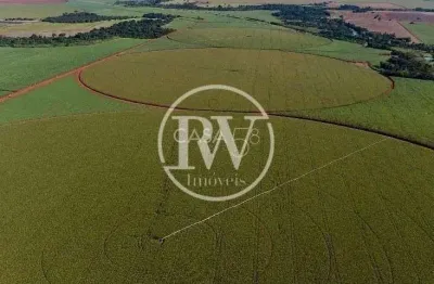 Fazenda irrigada à venda em indiara-go – 195 alqueires, plantando soja