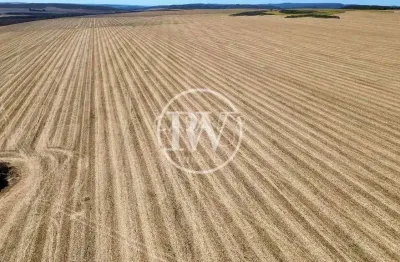 Mega fazenda de cana à venda em são paulo –5.000 alqueires altamente produtivos