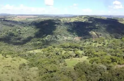 Fazenda à venda em bonfinópolis – go | 145 alqueires | plantio + pecuária