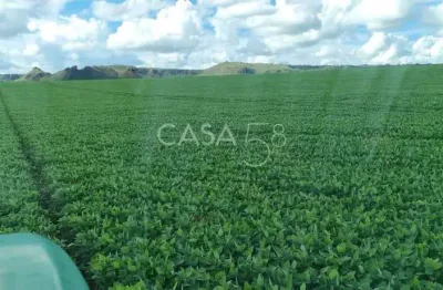 Fazenda à venda em mineirosgo 126 alqueires 335 ha em lavoura solo de qualidade