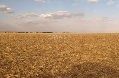Fazenda à venda em inhumas-go – 919,6 hectares de potencial produtivo