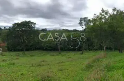 Fazenda à venda em marzagão-go – 240 alqueires | pecuária estruturada