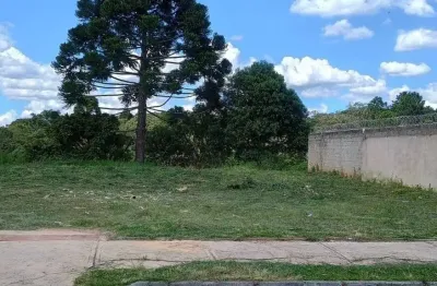 Terrenos 12x38 oportunidade para construtores – bairro dos estados, fazenda rio grande!