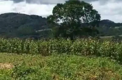 Terreno à venda na Rodovia Do Cerne, 34, Bateias, Campo Largo