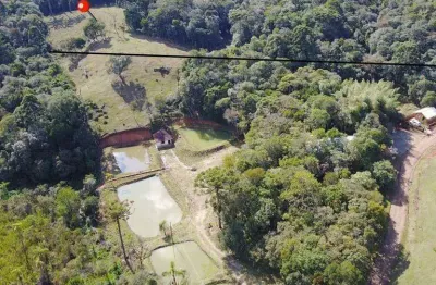 Terreno à venda, 25400 m² por r$ 650.000 - quatro barras/pr