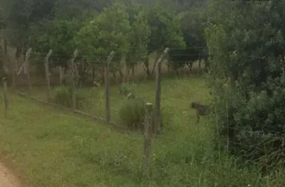 Terreno à venda, 23700 m² por r$ 200.000,00 - area rural - são josé dos pinhais/pr