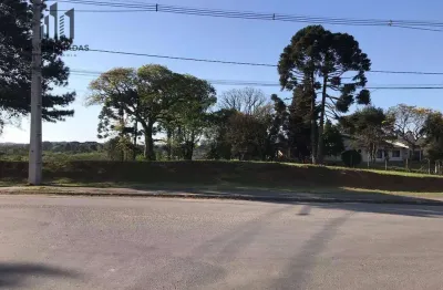 Terreno à venda, 1400 m² por r$ 1.550.000,00 - veneza - fazenda rio grande/pr
