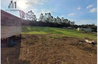 Chácara com 2 dormitórios à venda, 10000 m² por r$ 350.000 - zona rural - tijucas do sul/pr