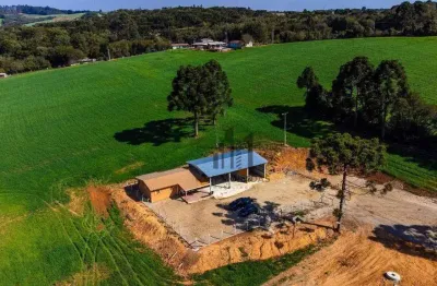 Sítio com 3 dormitórios à venda, 363865 m² por r$ 2.350.000,00 - água amarela - antônio olinto/pr