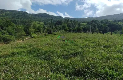 Amplo terreno com potencial para condomínio de lotes ou casas.
