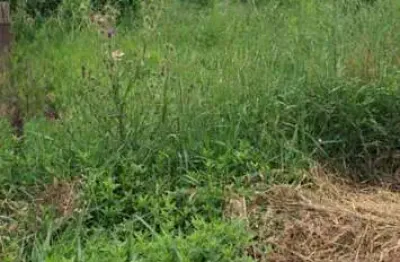 Terreno à venda na Rua Stephen Benet, Lote 64, Jardim São Rafael, São Paulo