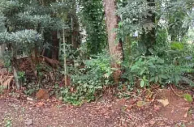 Terreno para Venda em São Paulo, Jardim das Palmeiras (Zona Sul)